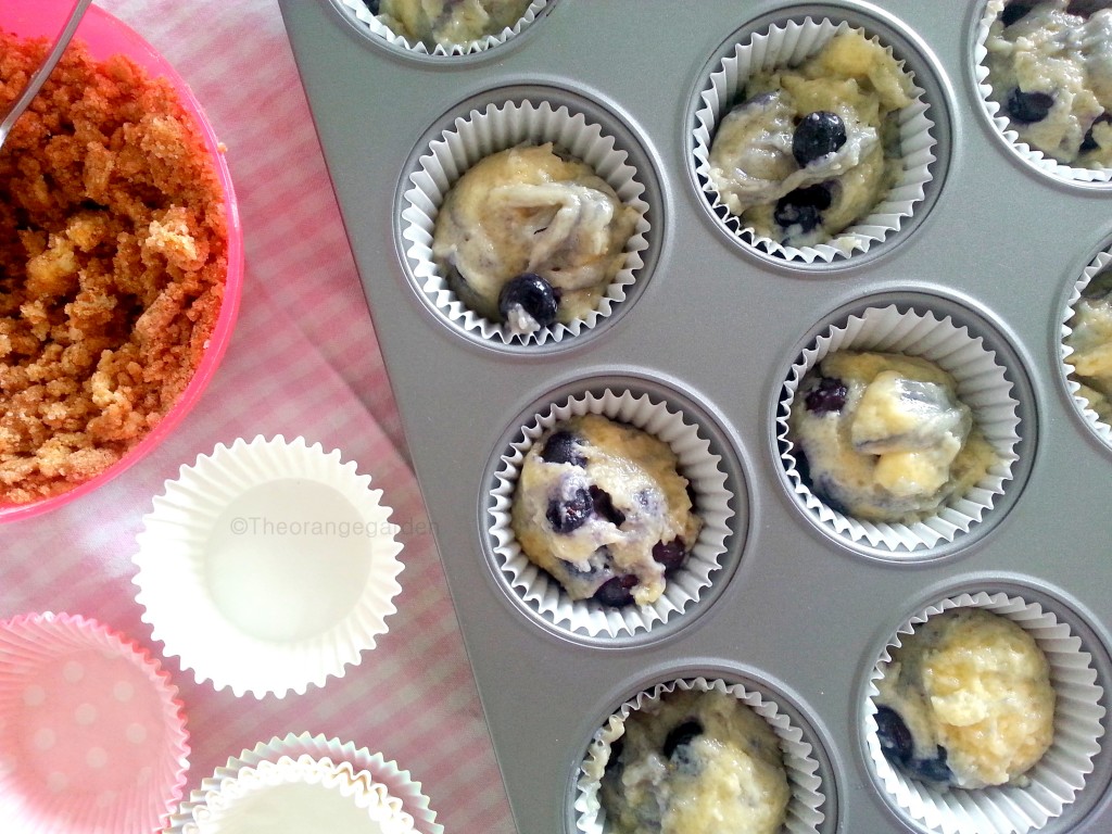 Blueberry cupcake 1-theorangegarden
