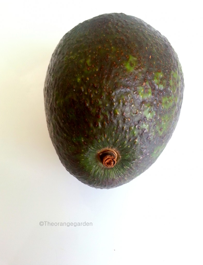how-to; avocado 2- theorangegarden