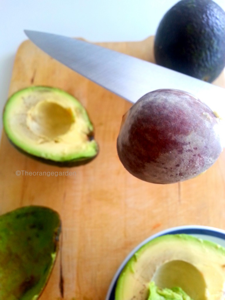 how-to; avocado 8- theorangegarden