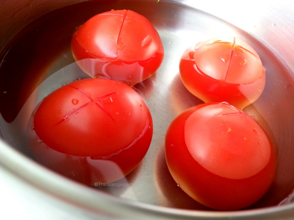 How-to; tomatenpellen 1- theorangegarden