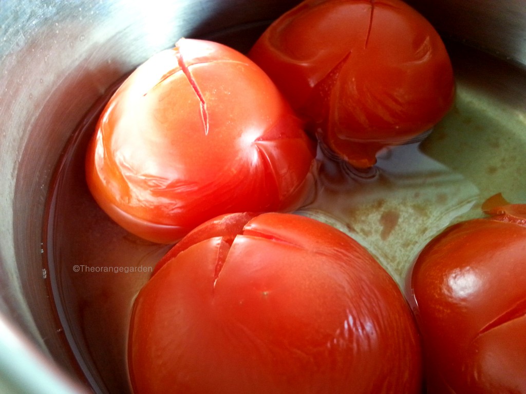 How-to; tomatenpellen 2- theorangegarden