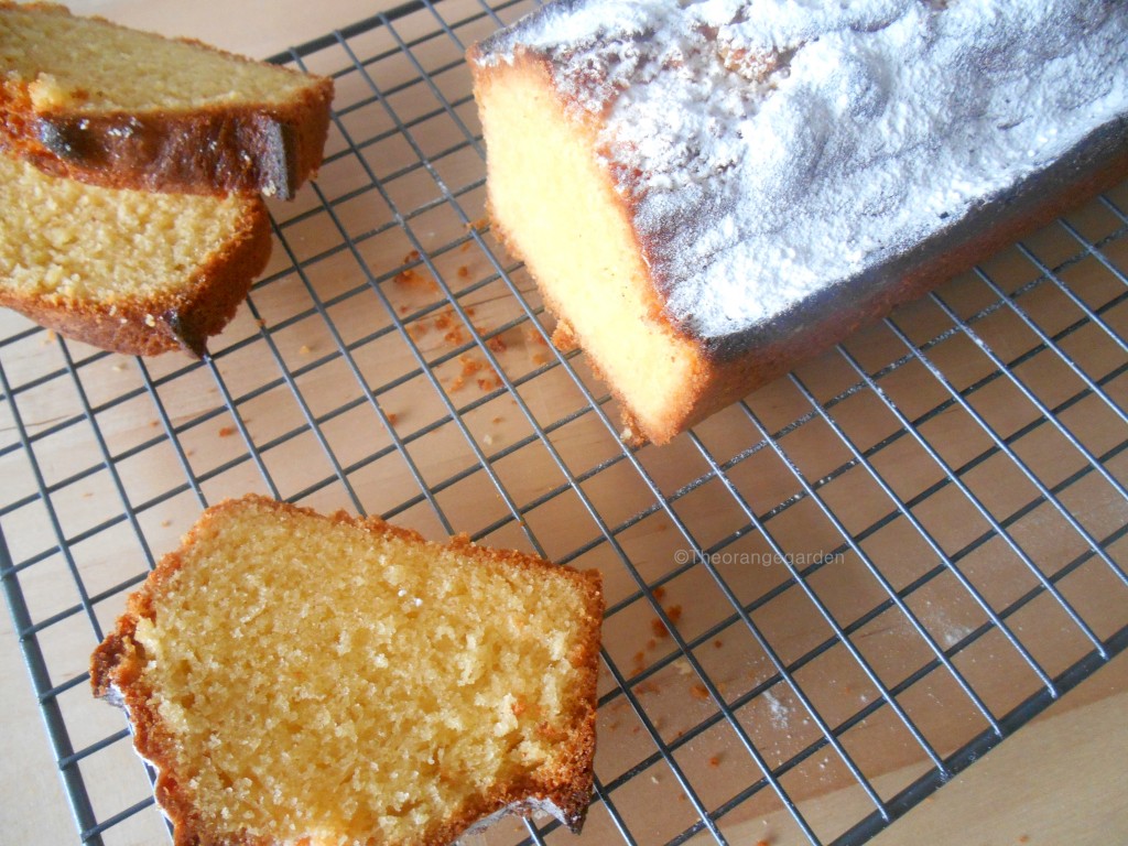 Vanille Cake 1 - Theorangegarden